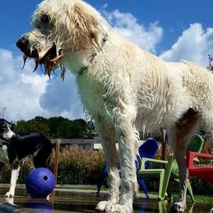 Meet your Posher, Autumn